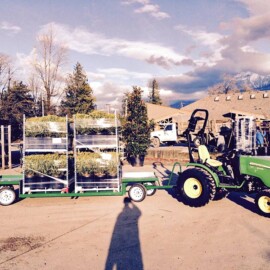 Level Fabricators - Agricultural and Horticultural