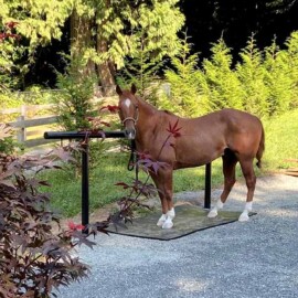 Level Fabricators - Custom Hitching Post